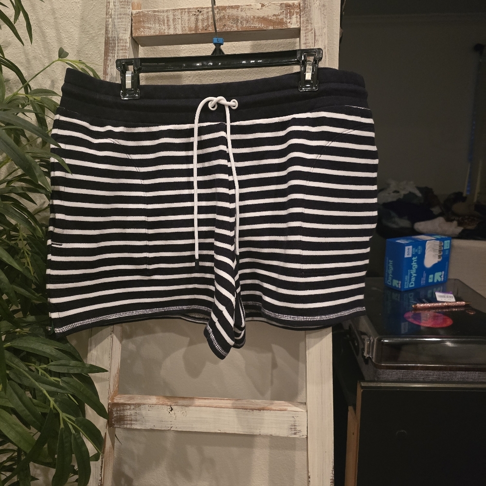 Talbots Blue and White Striped Shorts